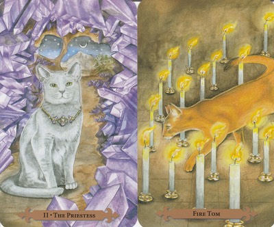 Capricorn Cats Tarot Aug 2020 20200718 0001