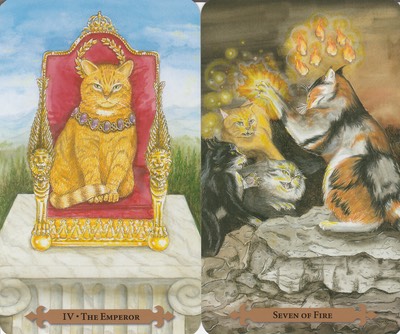 Taurus Cats Tarot Aug 2020 20200718 0001